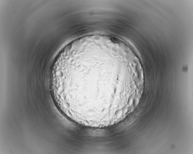 X0000091100851200709041321