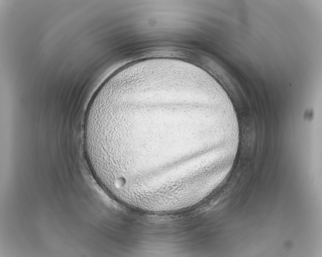 X0000091100852200709041321