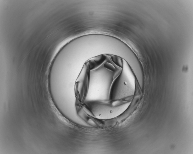 X0000091100854200709041321