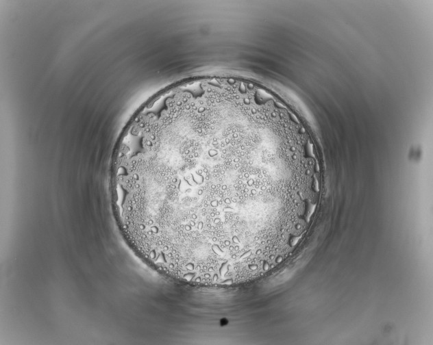 X0000091100855200709041321