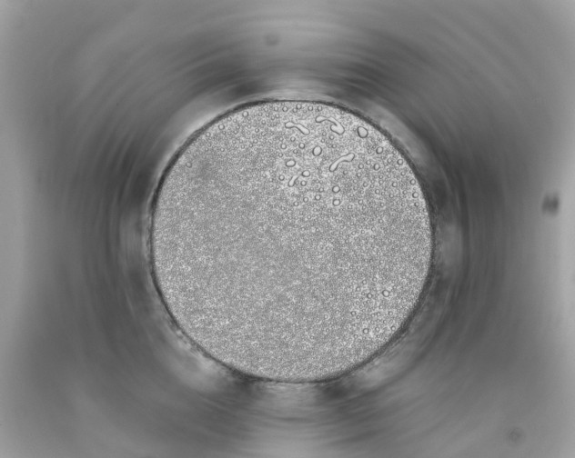 X0000091100856200709041321