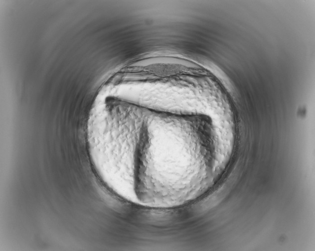 X0000091100857200709041321