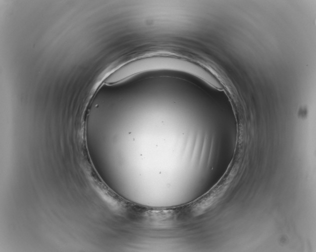 X0000091100858200709041321