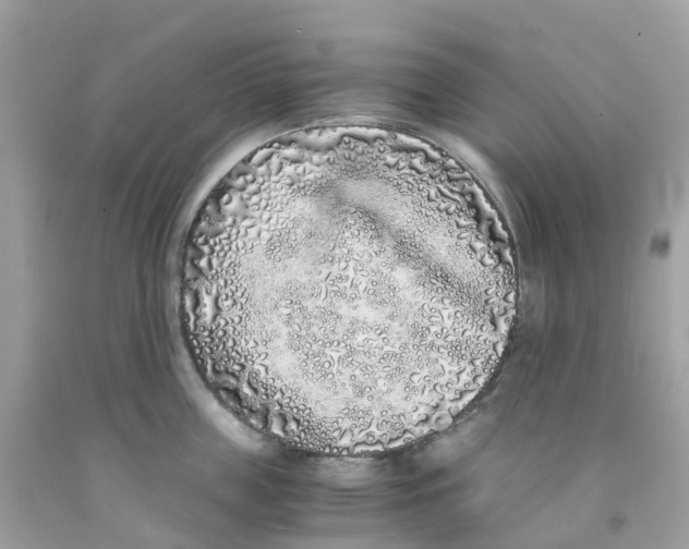 X0000091100859200709041321