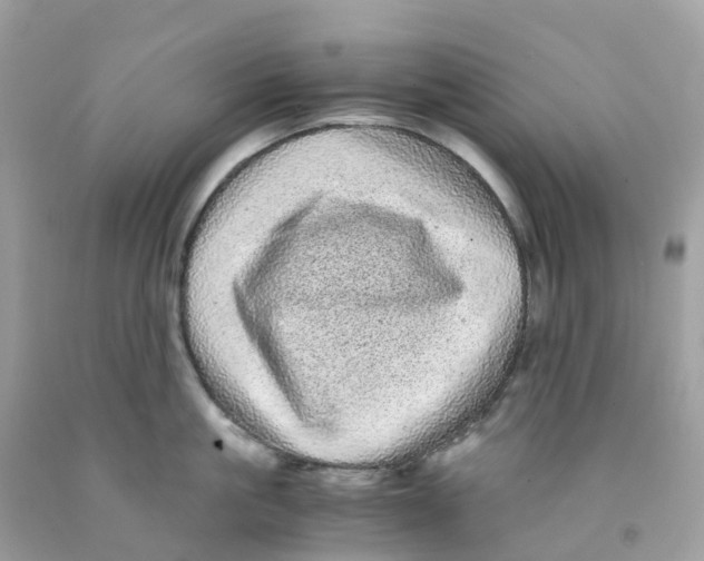 X0000091100861200709041321