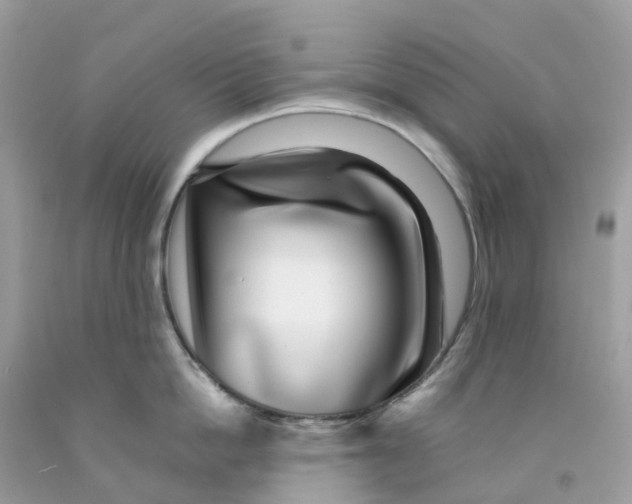 X0000091100862200709041321