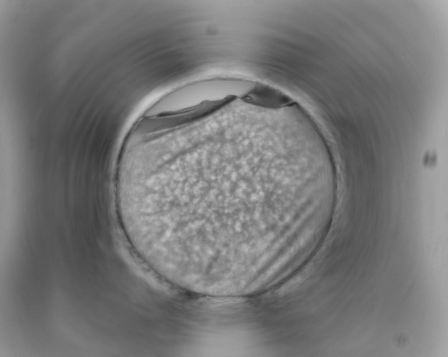 X0000091100864200709041321