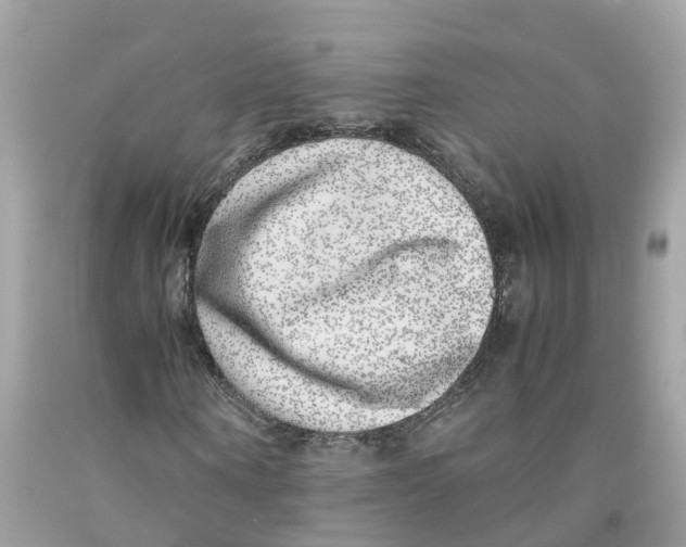 X0000091100866200709041321