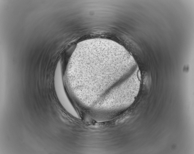 X0000091100868200709041321