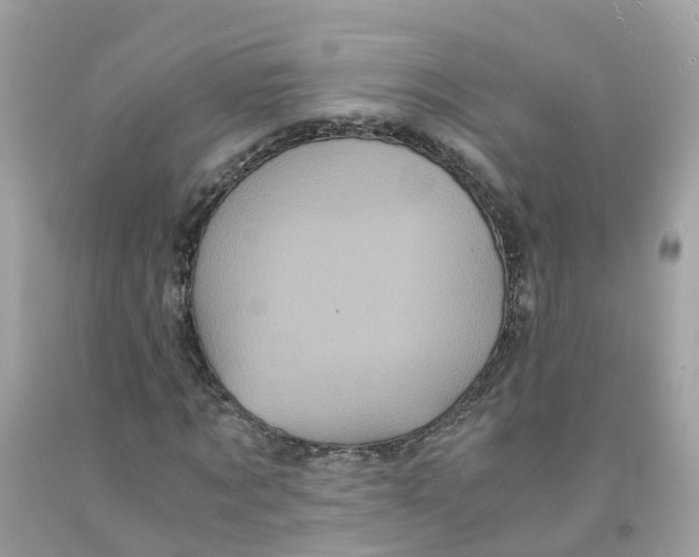 X0000091100869200709041321