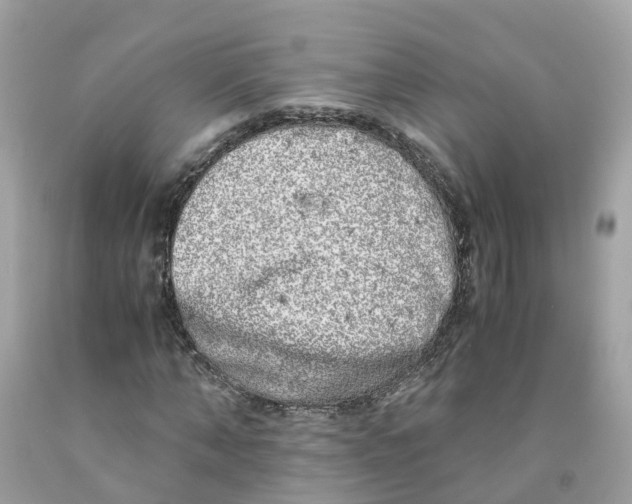 X0000091100870200709041321