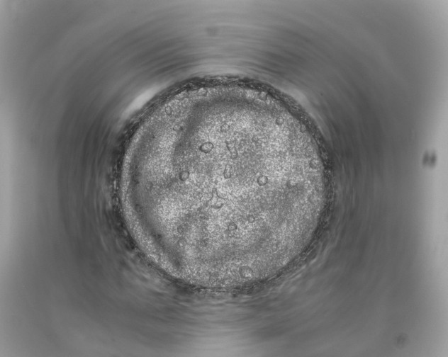 X0000091100871200709041321