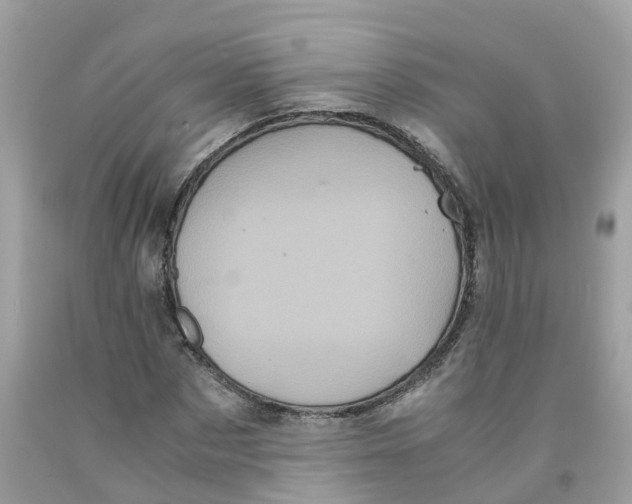 X0000091100873200709041321