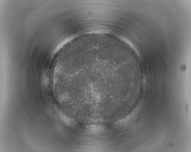 X0000091100874200709041321