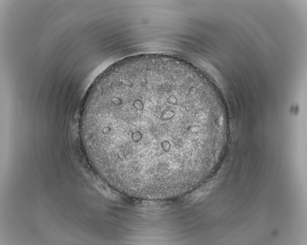 X0000091100875200709041321