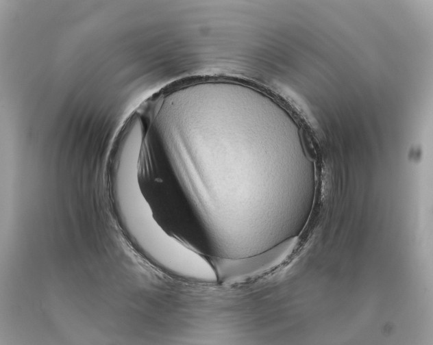 X0000091100876200709041321