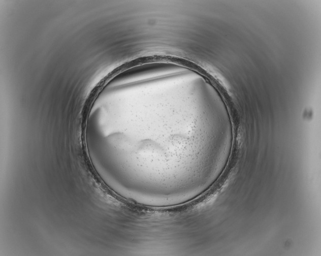 X0000091100877200709041321