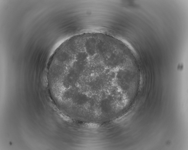 X0000091100878200709041321