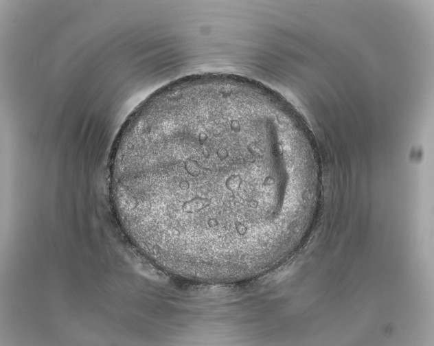 X0000091100879200709041321