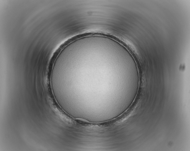 X0000091100880200709041321