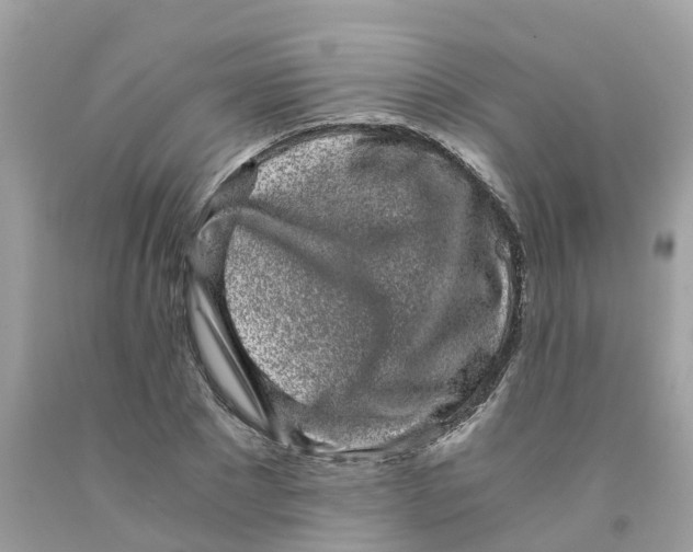 X0000091100881200709041321