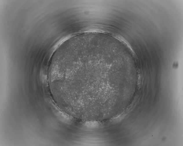 X0000091100882200709041321