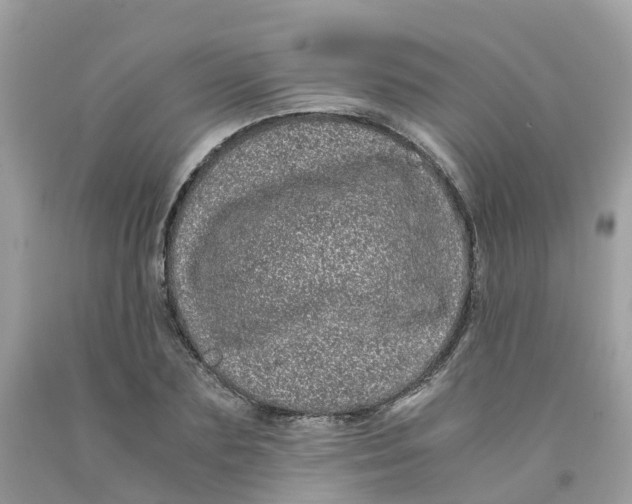 X0000091100883200709041321