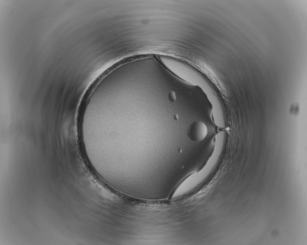 X0000091100884200709041321