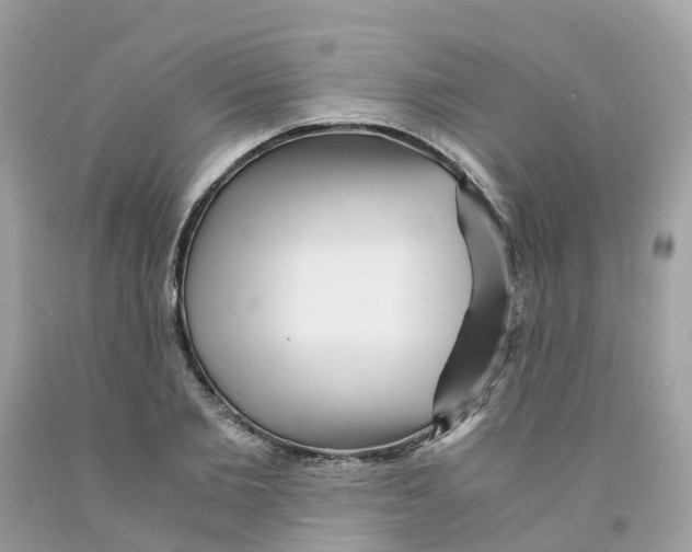 X0000091100885200709041321