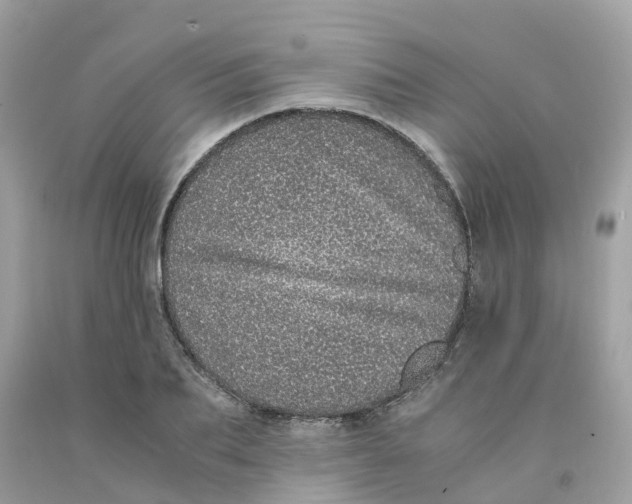 X0000091100887200709041321