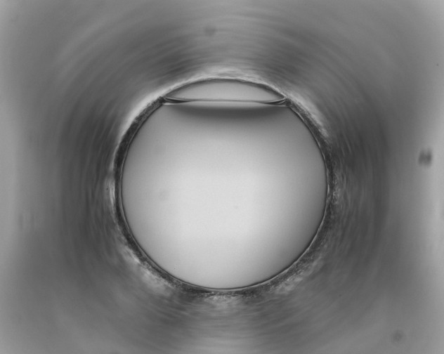 X0000091100888200709041321