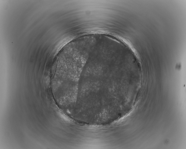 X0000091100889200709041321