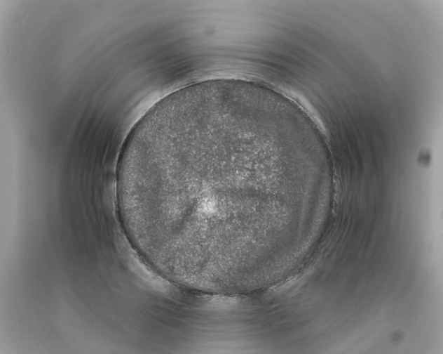 X0000091100890200709041321