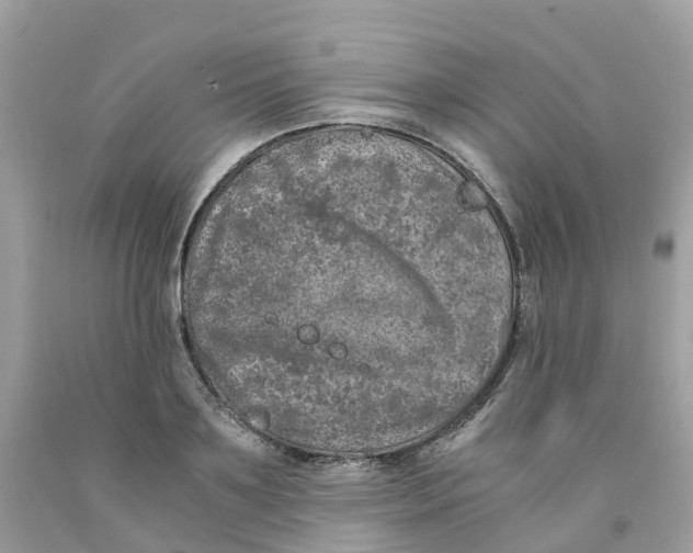 X0000091100891200709041321