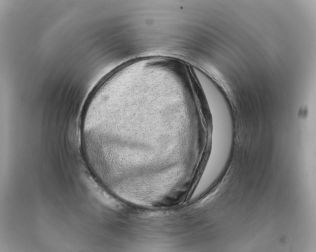 X0000091100892200709041321