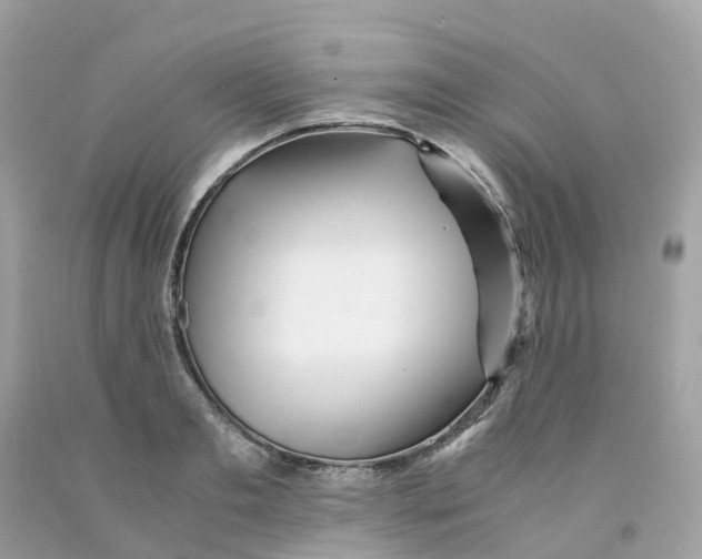 X0000091100893200709041321