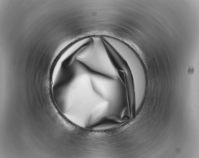 X0000091100894200709041320