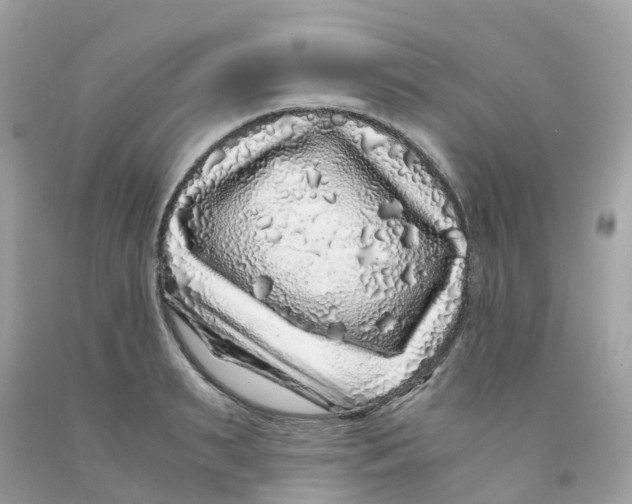 X0000091100895200709041320