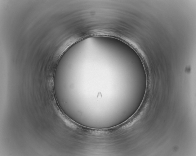 X0000091100897200709041320