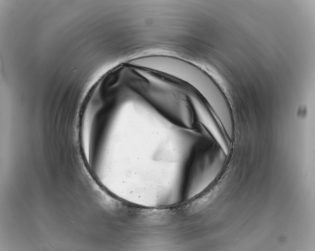 X0000091100902200709041320