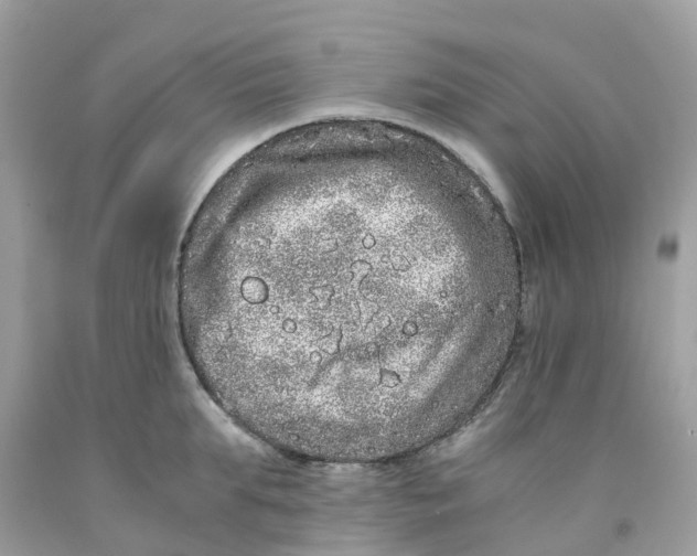 X0000091100903200709041320