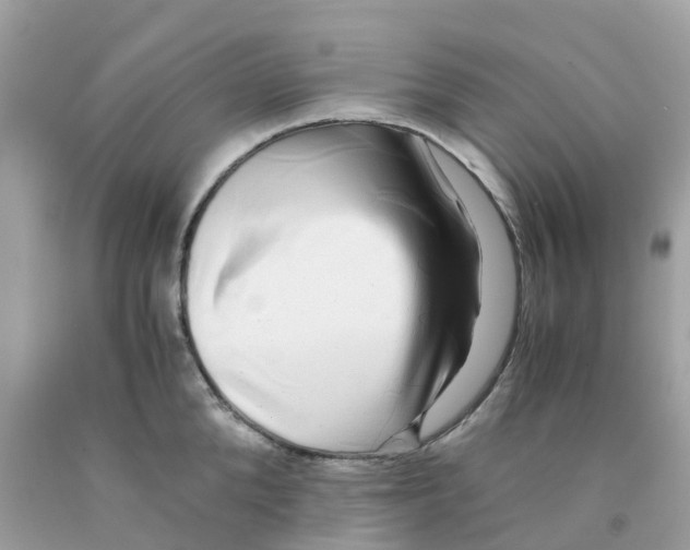 X0000091100904200709041320