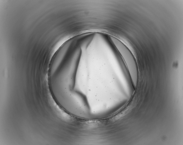 X0000091100906200709041320