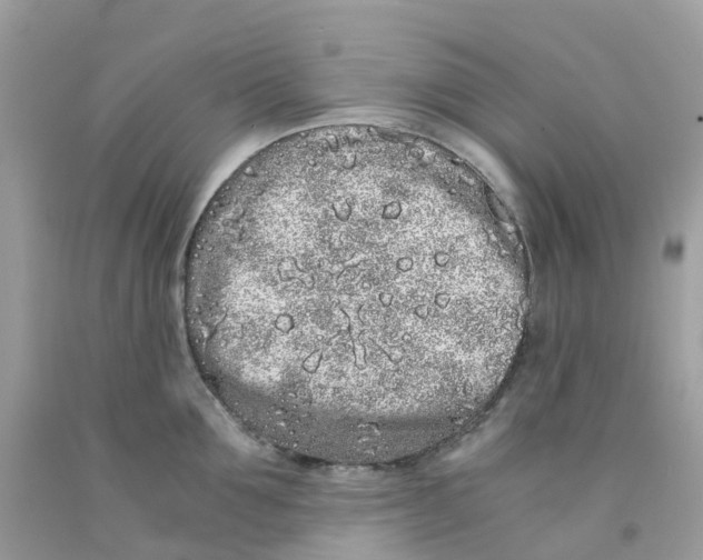 X0000091100907200709041320