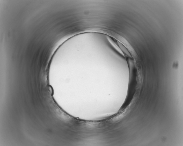 X0000091100908200709041320