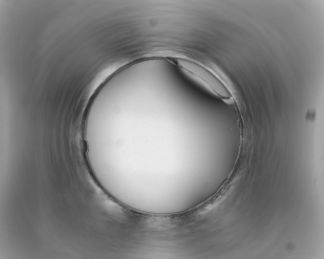 X0000091100909200709041320