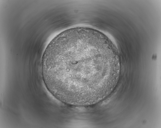 X0000091100911200709041320