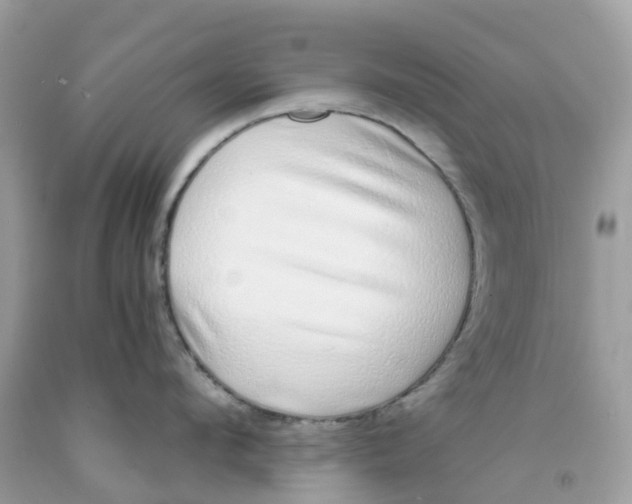 X0000091100912200709041320