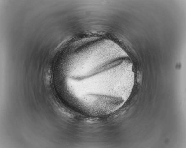 X0000091100915200709041320