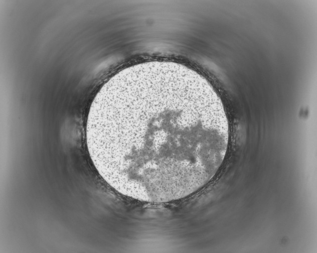 X0000091100918200709041320